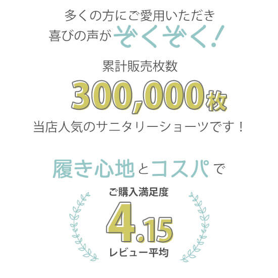 3枚組 サニタリーショーツ レディースインナー ポケット付き ポケット無し が選べる 防水布付き 生理用 パンツ ジュニア 夜用 下着 ポケット 予備 ナプキン カイロ が入る 楽天ランキング1位 フェムテック フェムケア