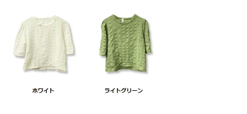 ＼4時間限定・37％OFFクーポン配布中／ 二の腕隠し 二の腕かくし ブラウス 半袖 ルーズフィットフェミニンブラウス ブラウス ルーズ フィット フェミニン オーバーサイズ オーバーシルエット FREE フリーサイズ PREMINA ファッション レディース 5分袖 yasuize-10005334 Premina(プレミーナ) サンプル画像3