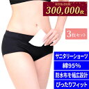 GW限定 \ポイント20倍&10%OFFクーポン/ 5/7 9:59迄 3枚組 楽天ランキング1位 ショーツ サニタリー ショーツサニタリー 防水布付きショーツ...