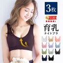 ＼マラソン限定15％オフクーポン／ 【3枚セット】ナイトブラ 育乳ブラ ブラジャー ノンワイヤー 大きいサイズ 夜用 補正 下着 脇肉 バスト ケア インナー スポーツ 育乳 リフト アップ ブラ インナー 選べる 接触冷感 夏用 ラクブラ24 Rakubra24 送料無料 [S-4L]