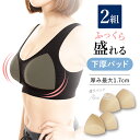 【スーパーセール限定！クーポン配布】 2組セット 盛りパッド 育乳パッド S-LL用 3L-4L用 送料無料 ラクブラ24に最適 谷間メイク ブラジャー ブラカップ ブラパッド パッド 盛りパット ブラ小物 【[Bタイプ] 福袋 プレミーナ】