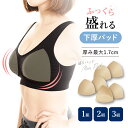 GW限定 \ポイント20倍&10%OFFクーポン/ 5/7 9:59迄 3組セット 盛りパッド 育乳パッド S-LL用 3L-4L用 ラクブラ24に最適 パッと...