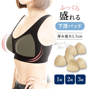 3組セット 盛りパッド 育乳パッド S-LL用 3L-4L用 ラクブラ24に最適 パッと 交換だけで育乳 美胸メイク 谷間メイク ブラカップ ブラパッド カップ 盛りパット ブラ小物