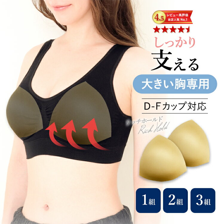 3組セット ノンワイヤーブラ用 大きめパッド 大きいサイズ リッチホールド D-Fカップ 育乳 ラクブラ24に最適 美胸メ…