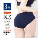 GW限定 \ポイント20倍&10%OFFクーポン/ 5/7 9:59迄 3枚組 ショーツ ラクブラ24セットアップ パンティ レディース ショーツ インナー 下...
