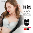 \ 最大半額!50%OFFクーポン 27日9:59まで / 育乳ブラ ブラショーツ セット 小胸 育乳 ブラジャー 脇肉ブラ着けるだけで2カップUP!ブラ アゲブラNEO ブラショーツセット 脇高ブラ 盛りブラ 下着 ショーツ