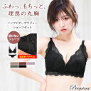 【500円OFFクーポン・17日9:59迄】 ノンワイヤーブラ 【上下セット】 待望のパッド取り外しタイプ登場・肩紐の長さ改良 自然に盛れる ブラセット 補整 谷間 調整可能 ブラジャー ショーツセット 可愛い おじゃれ 母の日 プレミーナ 『ヴィラージュ』