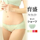 GW限定 \ポイント20倍&10%OFFクーポン/ 5/7 9:59迄 アゲブラNEOセットアップショーツ ショーツ セクシー 透け 補正下着 補正インナー 盛...