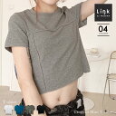 クロップドミニTシャツ へそ出し ショート丈 シンプル フロントデザイン クロップド丈 丸首 短め 半袖シャツ 無地 縫製デザイン ストレッチ素材 着心地 デザ...
