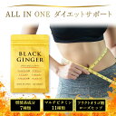 \7/17まで1,000円OFFクーポン/ ダイエット燃焼系サプリ ブラックジンジャー 11種類マルチビタミン+9種類厳選成分配合 ファットバーナー カルニチン...