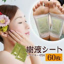 ＼24時間限定 全品10％OFFクーポン／ 60枚 足裏シート 樹液シート お徳用 メンズ レディース むくみケア 『ムクマネーゼ DX』 寝ている間にカラダスッキリ すっきり むくみ対策 足の裏シート パッド 遠赤外線 竹酢 キチン トルマリン 配合 足の裏 健康