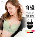 ＼マラソン限定最大15％OFF ／ 育乳ブラ ブラショーツ セット 小胸 育乳 ブラジャー 脇肉ブラ着けるだけで2カップUP！ブラ アゲブラNEO ブラショーツセット 脇高ブラ 盛りブラ 下着 ショーツ