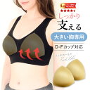 ノンワイヤーブラ用 大きめパッド リッチホールド D-Fカップ 育乳 ラクブラ24に最適 美胸メイク 谷間メイク ブラカップ パッド ナイトブラ ブラ小物 ブラジャーパッド 楽 ラク D E F カップ