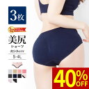 【40%OFF・8/2 9:59まで】 3枚組 ショーツ ラクブラ24セットアップ パンティ レディース ショーツ インナー 下着 深履き 深ばき 深め 立体成...