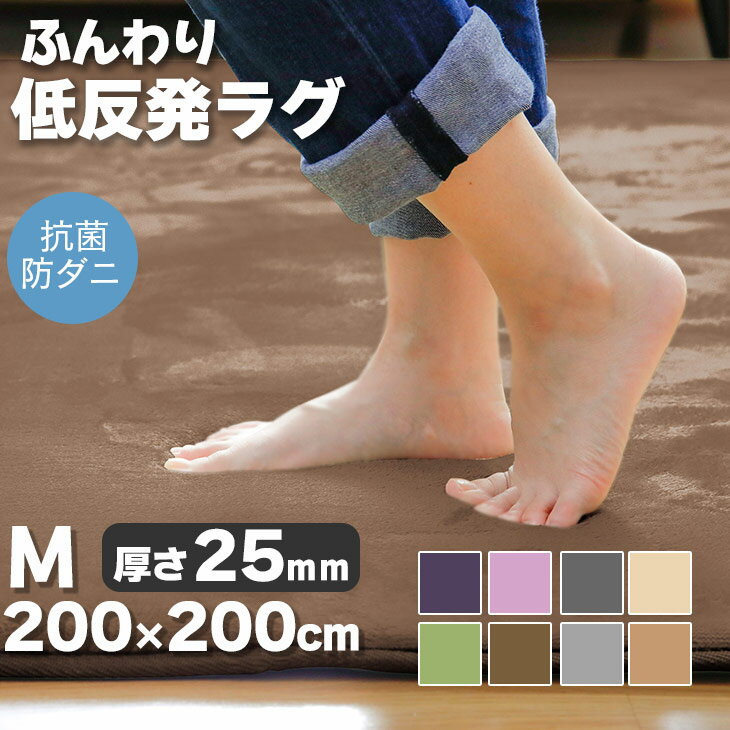 オータムSALE！[48%オフクーポン] ふんわり低反発ラグマット 200×200ラグマット 厚手 厚さ25mm おしゃれ 北欧 カーペット リビング 秋 冬 滑り止め付き ホットカーペット 床暖房対応 四角 フランネル 新生活 2畳 抗菌 防ダニ