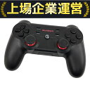 【中古】 GAMESIR T3s ゲーミング コントローラー O10294629