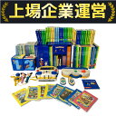 【中古】 DWE ディズニー英語システム ワールドファミリー 2017年頃 英語 教材 ジャンク S10178960