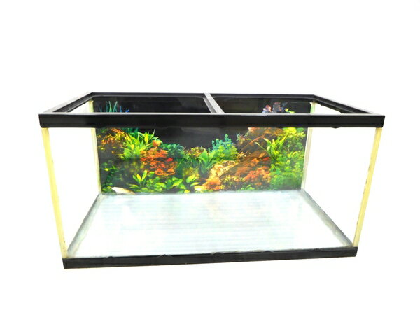 【中古】 水槽 90×45×45 熱帯魚 アクアリウム フチ 付 ペット・ペットグッズ 熱帯魚・アクアリウム 水槽 幅(90cm〜119cm) M2100059