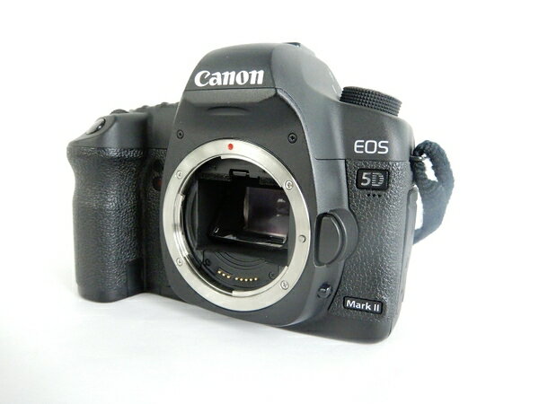 【中古】 Canon EOS 5D Mark II ボディ カメラ 趣味 Y3619112