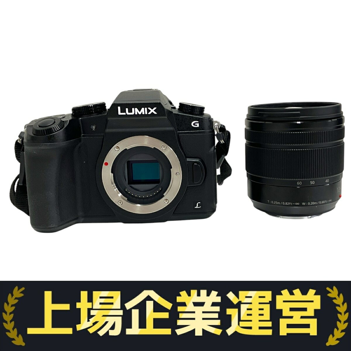 LUMIX G8 ミラーレス一眼　レンズセット 概要 デジタル一眼カメラ/レンズキット DMC-G8M | LUMIX