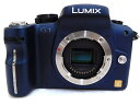 【中古】Panasonic LUMIX DMC-G1 k G VARIO 1:4-5.6/45-200 セット カメラ デジタルカメラ ミラーレス 一眼レフカメラ パナソニック T1721776