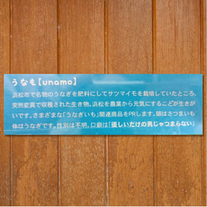 静岡県 富士山 浜名湖 遠州 三ケ日 おいしい...の紹介画像3