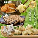 季節限定ギフトセット じゃこ天えだ豆のつまみ天セット|お中元 父の日 安岡蒲鉾じゃこ天 宇和島グルメ 愛媛 お取り寄せ 母の日 蒲鉾 かまぼこ じゃこ天
