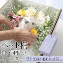 【送料無料 13時まで即日出荷】 ペット 棺 ひつぎ やすらぎ 白い羽根 ラベンダー 小サイズ あす楽対応 犬 猫 ダンボール 棺桶 柩 小型犬 動物 亡くなる ペットロス お葬式 火葬