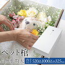 【ペット用ダンボール棺『やすらぎ』】 特大サイズ 大型動物 お別れ窓付 防水シート付 白無地 安心の強化パッド構造 ペットお葬式 ペット棺 ひつぎ 犬棺 猫棺 ダンボール棺 棺桶 メモリアル 白無地(特大) ※お悔やみ花は付いておりません
