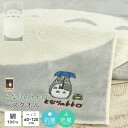 となりのトトロ バスタオル 「トトロのおなか」 60×120cm 綿100% やわらか スポーツタオル お昼寝ケット プール スイミング 海水浴 お風呂上がり ...
