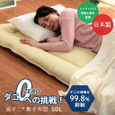 敷き布団 敷布団 セミダブル ふとん 滅ダニ ダニ増殖抑制 日本製 しき布団 しきふとん 敷ふとん 敷きぶとん 敷ぶとん 三層敷き布団 防ダニではなくダニを減らす オールシーズン 寝具 新生活 ダニ対策 シックハウス診断士協会推奨 清潔 【送料無料】(3)