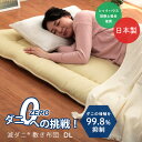 敷き布団 敷布団 ダブル ふとん 滅ダニ ダニ増殖抑制 日本製 しき布団 しきふとん 敷ふとん 敷きぶとん 敷ぶとん 三層敷き布団 防ダニではなくダニを減らす ...