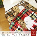ひざ掛け毛布 ニューマイヤー毛布 70×100cm プードル チェック柄 ベビーケット スローケット ひざかけ ブランケット もうふ あったか毛布 洗える 毛布 キッズ 【送料:サイズS】