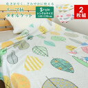 タオルケット 【お得な2枚組】 シングル 北欧ツリー柄 140×190cm 夏掛け 肌掛け 涼感 吸水 通気性 速乾 薄手 洗える パイルケット ブランケット ...