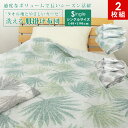 肌掛け布団 同色2枚セット シングル シダ柄 肌掛け タオル肌布団 掛け布団 タオル地 ガーゼ地 洗える 掛布団 肌布団 肌掛布団 キルトケット オールシーズン...