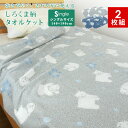 タオルケット 【お得な2枚組】 シングル しろくま柄 140×190cm 夏掛け 肌掛け 涼感 吸水 通気性 速乾 薄手 洗える パイルケット ブランケット オ...