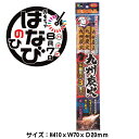 【単品花火】【手持ち花火】九州炭火花火3P