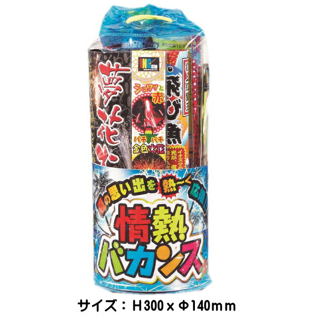 ■【花火】【打上・噴出・手持花火セット】「情熱バカンス　NO.30」　子供会　景品　花火　稲垣屋はなびキャンプ　アウトドア