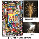 【手持・噴出 花火セット】「選び抜かれた逸品噴出プラス」 子供会 景品 花火 稲垣屋はなびキャンプ アウトドア