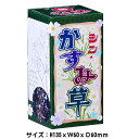 ■商品名：シン・かすみ草 ■商品タイプ：国産噴出花火 ■商品特長噴出花火 強烈な輝きでの噴き上げ 燃焼時間　　10秒　昔からのド定番！ ■対象：大人向け ■商品サイズ：w135mmxH60mmxD60mm ■火薬量：12g 玩具花火一覧⇒こちら 　 　 &nbsp; &nbsp;花火の種類から選ぶ 手持ち花火セット バラエティセット バッグ入りセット 格安限定花火 打上花火 連発花火 噴出花火 ナイヤガラ 線香花火 手持ち花火 煙幕・爆竹 ロケット花火 回転/走行花火 袋入り均一花火 点火具　その他 子供会好適品