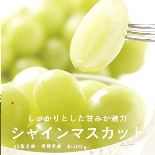 山梨県産または長野県産 シャインマスカット 約500g×1房 送料無料 夏ギフト 贈答 summer 中元 御中元 お中元 御祝 御礼 御供 果物 フルーツ 山梨県産または長野県産 シャインマスカット 約500g×1房 送料無料 夏ギフト 贈答 summer 中元 御中元 お中元 御祝 御礼 御供 果物 フルーツ