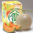 北海道産 JAきょうわ らいでんメロン お中元 ギフト 夏 夏ギフト 御礼 御祝 暑中見舞 送料無料 送料込 熨斗可能