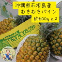 期間限定 数量限定 沖縄県石垣島産 王瀧さんのむきむきパイン 約600g×2玉 スナックパイン パイナップル 母の日 フルーツ ギフト 遅れてごめんね プレゼン...