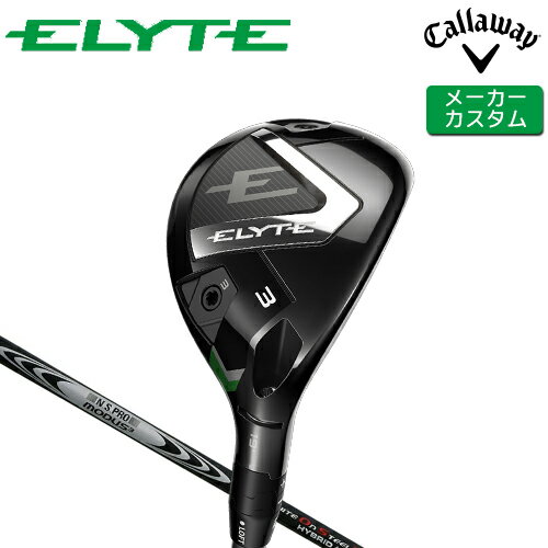 ڥ᡼  ELYTE 桼ƥƥ  N.S.PRO MODUS3 HYBRID GOST ե [ ...