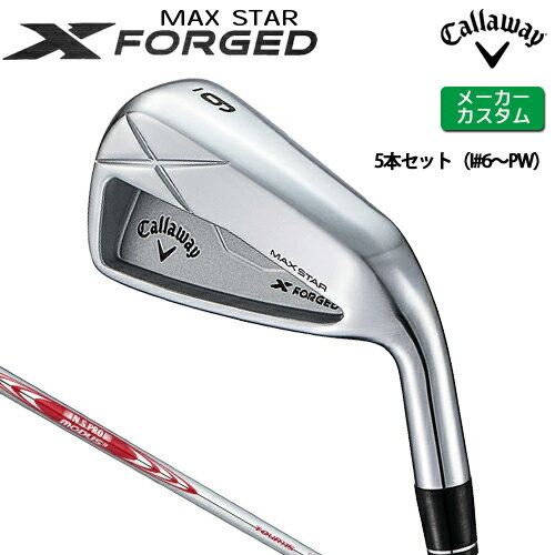 ڥ᡼  X FORGED MAX STAR  5ܥå (#6-PW)  N.S.PRO MODU...