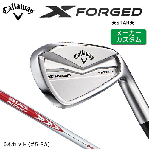 ڥ᡼  X FORGED STAR 2024   6ܥå (5-PW) N.S.PRO MOD...