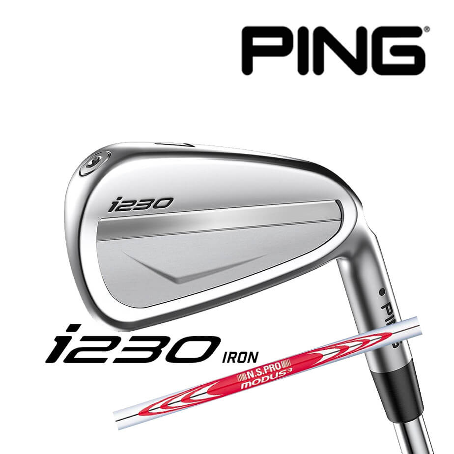 【カスタムフィッティング】 PING 【ピン】 i230 アイアン 6本セット 5l～9l PW 右用 N.S.PRO MODUS3 TOUR 120 スチールシャフト[i230 Iron][日本正規品]