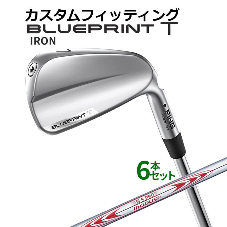 ڥեåƥ󥰡ۥԥ BLUEPRINT T  6ܥå(5I9IPW) N.S.PRO MODUS3 TOUR13...