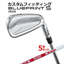 【カスタムフィッティング】ピン BLUEPRINT S 5本セット(6I〜9I、PW) N.S.PRO MODUS3 TOUR125 スチールシャフト [日本正...