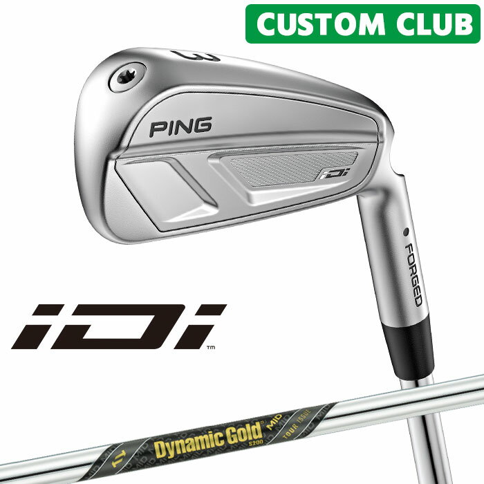 樂天商城 - メーカーカスタム ピン iDi ドライビングアイアン Dynamic Gold MID TOUR ISSUE スチールシャフト [日本正規品] 【 2025モデル 】 PING 右用 ゴルフ ユーティリティ アイアン カスタムクラブ 【 ピン アイアン 】